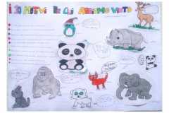 IMG-20190519-WA0135