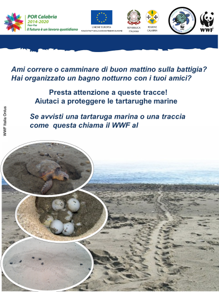 Locandina progetto TartAmare